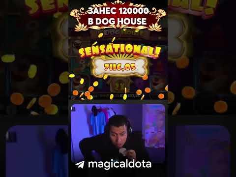 120000 ЗАНОС В DOG HOUSE / MAGICAL #bigwin #casino #заносынедели  #стримыказино #казино #shorts