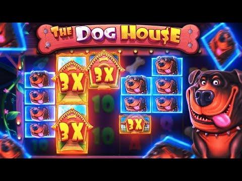 ПОДНИМАЮСЬ С НЕБОЛЬШОГО БАЛАНСА В DOGHOUSE MEGAWAYS!