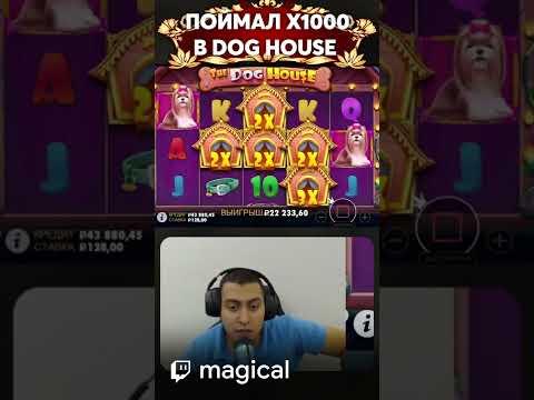 MAGICAL ПОЙМАЛ X1000 / DOG HOUSE  #bigwin   #casino  #заносынедели  #стримыказино #казино