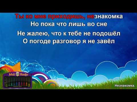 Незнакомка (караоке)