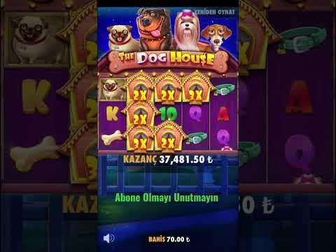 The Dog House | 70Tl İle Makaralar Ağladi #shortvideo #shorts #short #shortsvideo #slot #casino