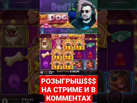 БОЛЬШОЙ ВЫИГРЫШ$$$ THE DOG HOUSE!!!! #casino #maxwin #gaming #заносЫНЕДЕЛИ #stream #thedoghouse