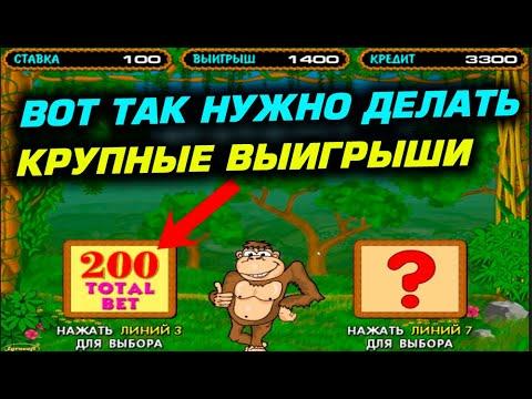 Сколько можно выиграть с 5000 руб в игровой автомат Обезьянки. Тест казино онлайн.