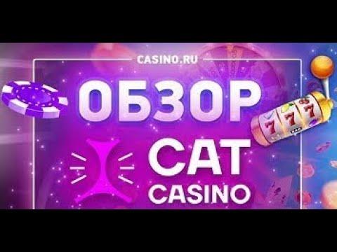 Cat Casino! Кэт казино обзор на официальный сайт и промокод в подарок