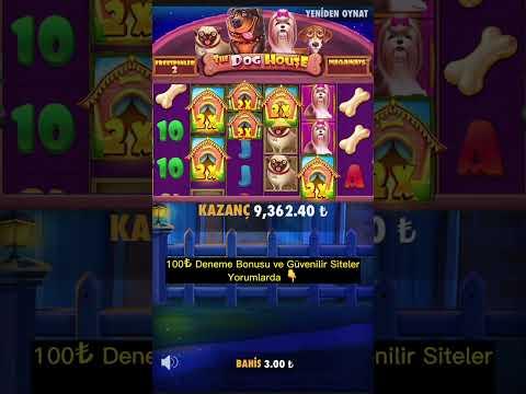 Bu Dehşet Kombo Gözlerinizi Bozabilir - The Dog House Megaways Efsane Kazanç - #casino #slot #shorts