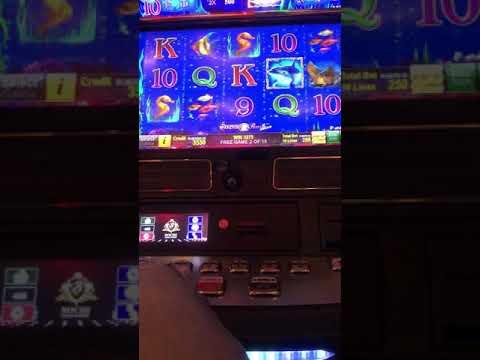 /казино сочи/casino Sochi бонус в дельфины по 250