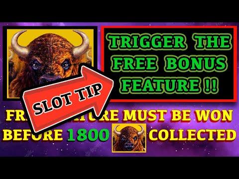 Buffalo Link Slot TIP For Triggering The FREE BONUS Feature!