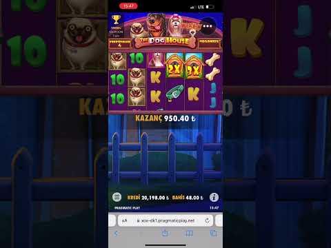 THE DOG HOUSE DEN ŞAŞIRTAN MÜKEMMEL KAZANÇ! #slot #casino #bigwin