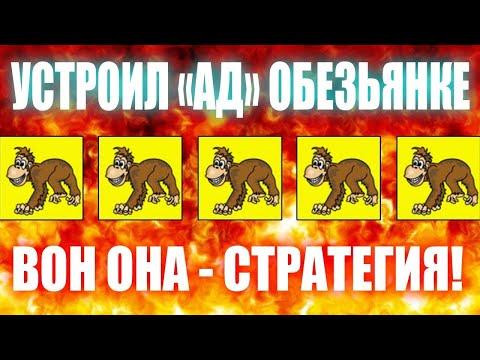 ЗАНОСЫ НЕДЕЛИ В ОНЛАЙН КАЗИНО ВУЛКАН / КАК ИГРАТЬ В ОБЕЗЬЯНА ИГРОВЫЕ АВТОМАТЫ / ОТЗЫВЫ /  ВЫИГРАТЬ