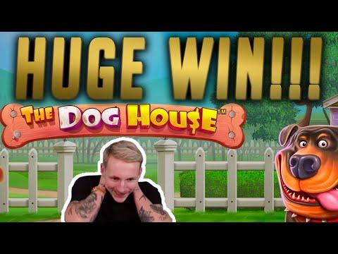 HUGE WIN! Dog House BIG WIN - Casino Games From Casinodaddys Live Stream