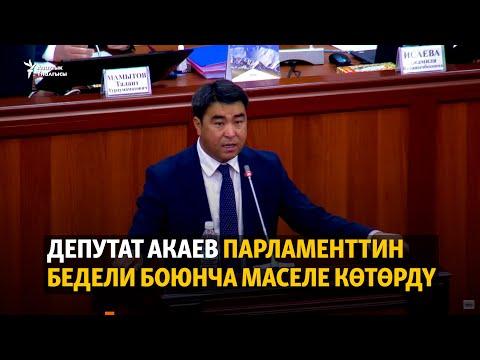 Депутат Акаев парламенттин бедели боюнча маселе көтөрдү