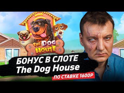 Бонус в слоте The Dog House по ставке 1600р казино онлайн Casino Oniine | Slotviver