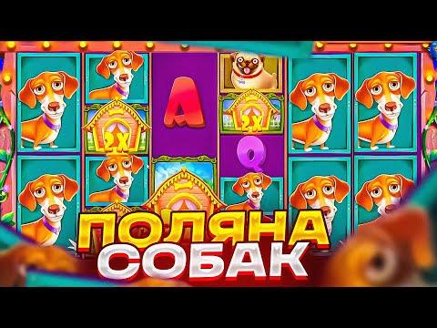 ПОЙМАЛ ЗАНОС ПО 220Р В DOG HOUSE MEGAWAYS И КУПИЛ БОНУС ALL IN ЗА 55.000Р ДОГ ХАУС МЕГАВЕЙС