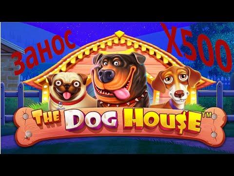 Занос х500 в The Dog House. Казино онлайн 2022