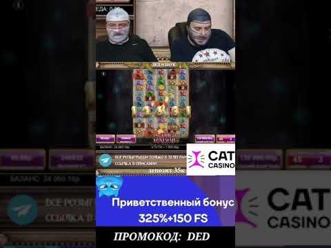 Онлайн казино CAT CASINO - тест нового топового лицензионного проекта | ЗАНОСЫ НЕДЕЛИ #shorts