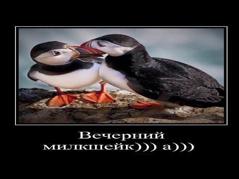 ВОТ ЧТО У МЕНЯ ЕСТЬ В СВОИ 3 ГОДА