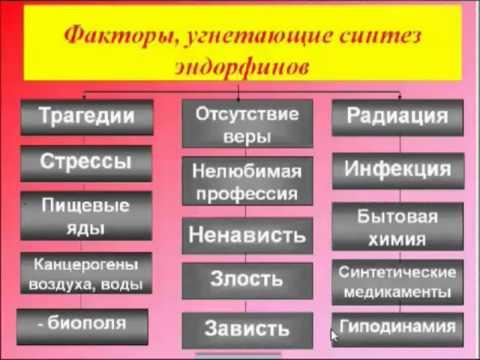 ***Эндорфинотерапия при болезнях позвоночника, 4/5