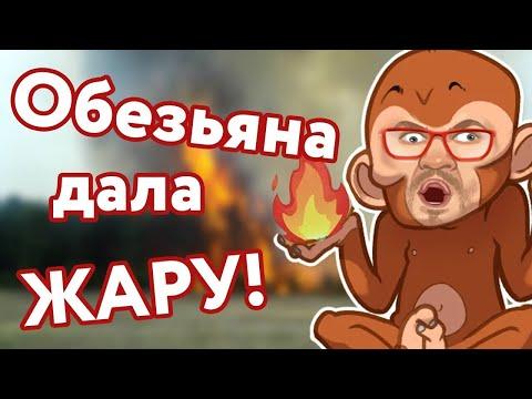 КАЗИНО ВУЛКАН ОТЗЫВЫ / ИГРОВЫЕ АВТОМАТЫ ОНЛАЙН КАК ИГРАТЬ И ВЫИГРАТЬ / ОТЗЫВЫ ЗАНОСЫ СТРИМ ЭДИК