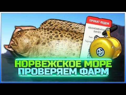 РР4 СТРИМ • Проверяем фарм на Норвежском море с обновленным индикатором и рулеткой!