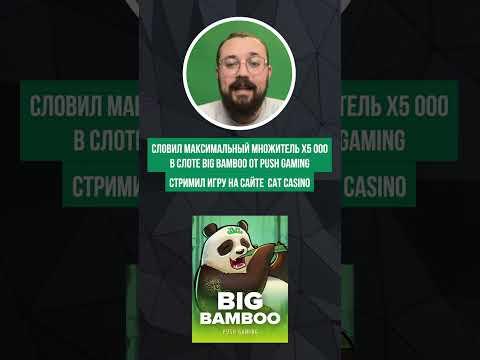 Стример выиграл более ₽35 000 000 в Cat Casino в прямом эфире!