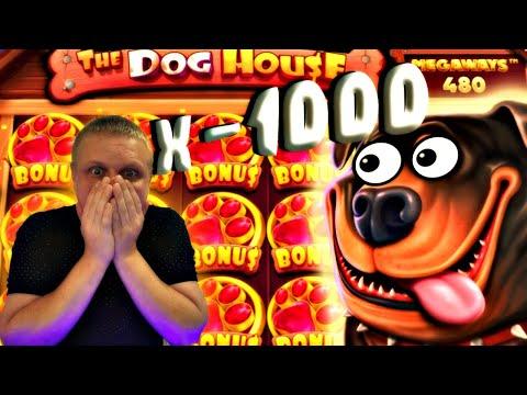 Заносы в казино онлайн / Заносы х1000-х10000 / Слот The Dog House Megaways / заносы недели!!!!