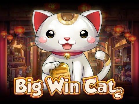 КАЗИНО ОНЛАЙН - ЗАНОС в Big Win Cat Slot. БОНУС В ИГРОВЫХ АВТОМАТАХ