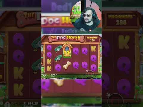 Dog House Megaways хайрол #shorts #shortvideo #stream #shortsvideo #заносы #casino #maxwin #gaming