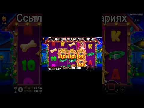 ТАКОГО ОТ DOG HOUSE Я НЕ ОЖИДАЛ #заносынедели #казино #слоты #занос #sensational #slotonline #bigwin