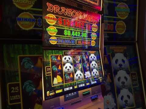 $100 Bet On Dragon Link Gets Me?! #casino #casino #slots #gamingshorts