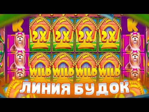 DOG HOUSE СЛИШКОМ ДОРОГИЕ БОНУСКИ! ФУЛЛ ЛИНИЯ БУДОК В ДОГ ХАУС