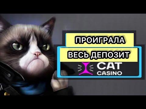 Проиграла все деньги в онлайн казино CAT CASINO 