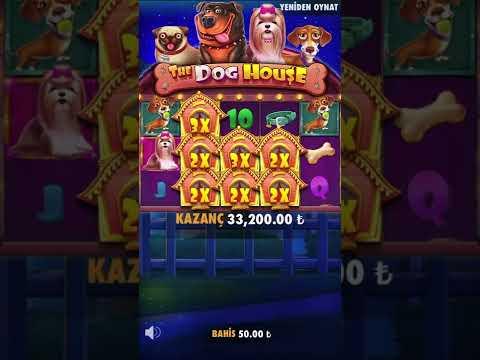 Kucu Kucular Yüksek Betten Şov Yaptı - The Dog House Rekor Kazanç - #casino #slot #slotoyunları