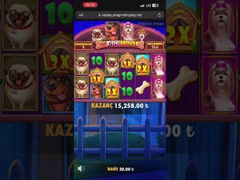 Çılgın Köpeklerden Rekor Ödeme - The Dog House Megaways #slot #casino #shorts