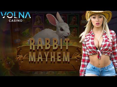 ОБЗОР НОВОГО СЛОТА ANIMAL MADNESS ОТ PLAY'N'GO В ВОЛНА КАЗИНО