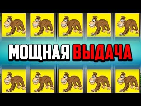 ОБЕЗЬЯНКИ CRAZY MONKEY 