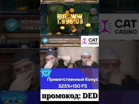 Онлайн казино CAT CASINO - тестируем новый,топовый,лицензионный проект | ЗАНОСЫ НЕДЕЛИ #shorts