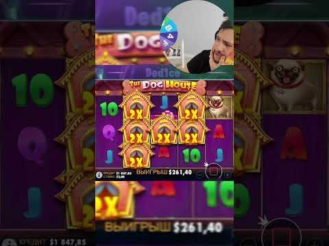 ЗОНОС В ДОГ ХАУС!!! УДАЧНАЯ ПОЛОСА!!! #casino #maxwin #gaming #stream #заносы #заносынедели #shorts