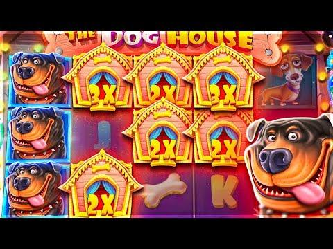 THE DOG HOUSE ЗАНОС НЕДЕЛИ | рекордный выигрыш в The Dog House!