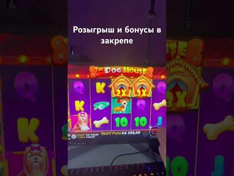 Дог хаус #doghouse #kazino #olympus #youtube #заносы #заносынедели #слоты #казино #sweetbonanza