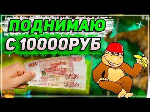 Зашел и налегке отобрал у Обезьяны 200к рублей в Казино Вулкан 