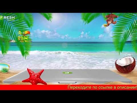 Казино Fresh Casino Fresh Online