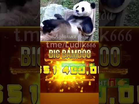 занос в бамбуке слот биг бамбук # Bigbamboo #push #заносынедели #shorts #музыка