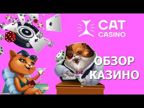 Обзор КЭТ Казино - промокод на бездепозитный бонус при регистрации в Cat Casino