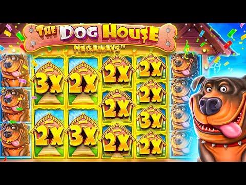 THE DOG HOUSE DICE SHOW | Kazino'nun Slot Oyunları 2023 En Son Gelen Combo Efsanesi - Büyük Kazanç!