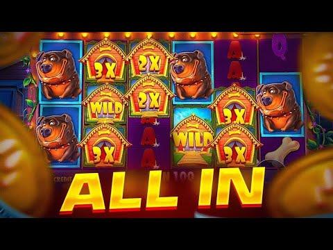 ДОДЕПНУЛ 50.000 И КУПИЛ ALL IN БОНУС В DOG HOUSE MEGAWAYS | ALL IN В DOG HOUSE | ЗАНОСЫ НЕДЕЛИ