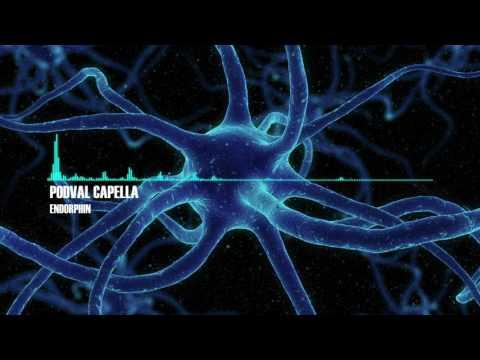 Podval Capella – Endorphin