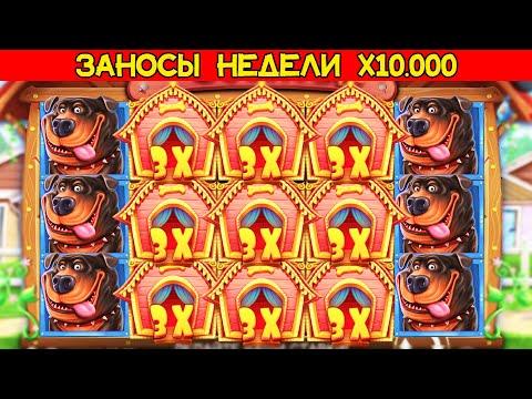 Топ 5 Лучшие Заносы Недели в Казино от X1000, Мега Занос X10000 в Dog House