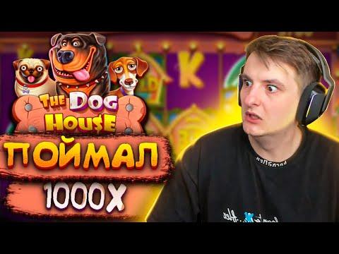 ЗЛОЙ ИГРАЕТ В КАЗИНО / ПОЙМАЛ 1000Х В DOG HOUSE / Злой казино заносы