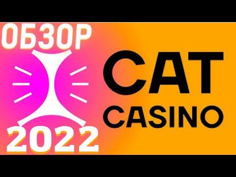 CATCASINO ОБЗОР КАЗИНО 2023! БОНУСЫ И ФРИСПИНЫ В КАЗИНО CAT! ЗЕРКАЛО КАЗИНО,ОТЗЫВЫ!