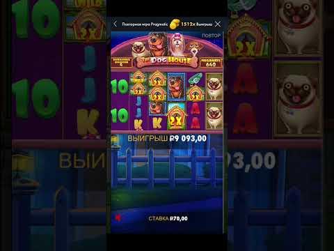 Занос казино Trix Zooma Melbet Cat Casino заносы недели от X1000